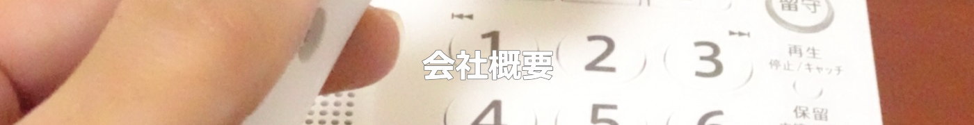 日本デジタル通信株式会社／埼玉県さいたま市　千葉　東京　電話工事・新品・中古ビジネスホン・ＬＡＮ・ネットワーク・ネットワーク構築・ビジネスホン（ビジネスフォン）販売・ＮＴＴ取次業務